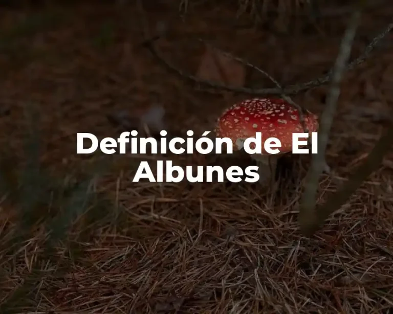 Definición de El Albunes