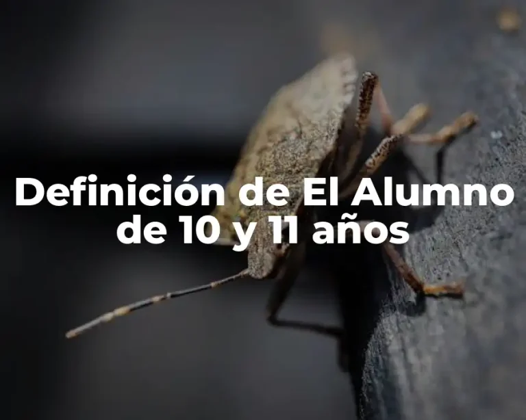 Definición de El Alumno de 10 y 11 años