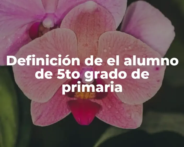 Definición de el alumno de 5to grado de primaria