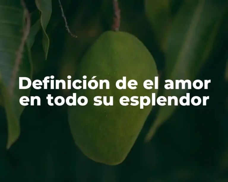 Definición de el amor en todo su esplendor