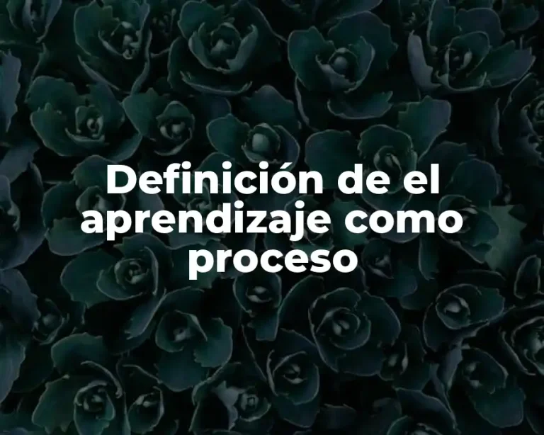 Definición de el aprendizaje como proceso