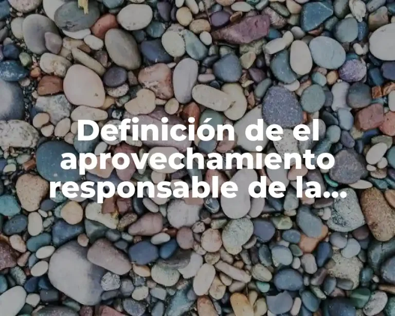 Definición de el aprovechamiento responsable de la energía