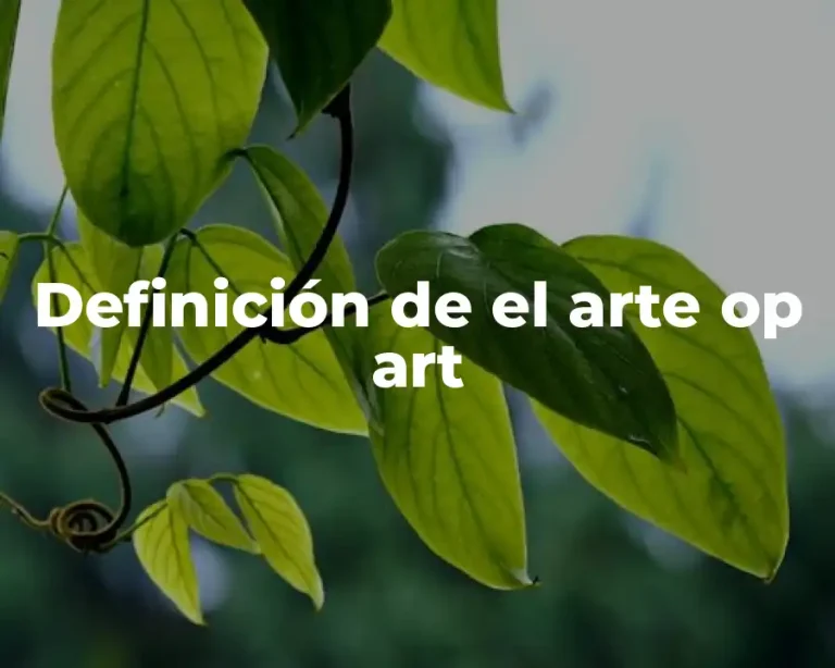 Definición de el arte op art