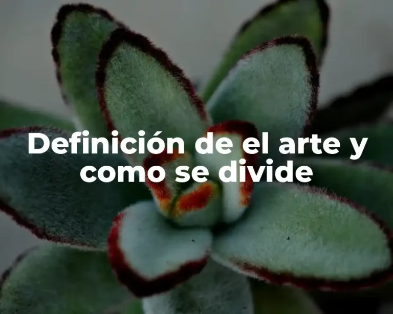 Definición de el arte y como se divide