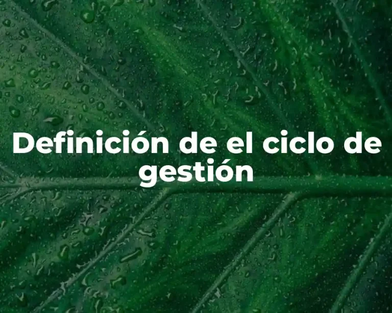 Definición de el ciclo de gestión