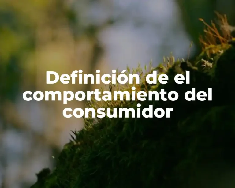 Definición de el comportamiento del consumidor