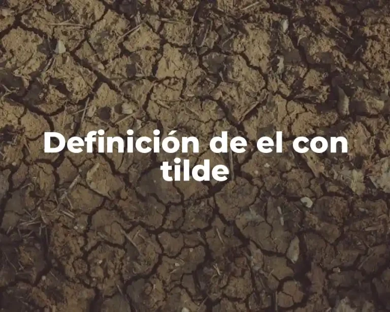 Definición de el con tilde