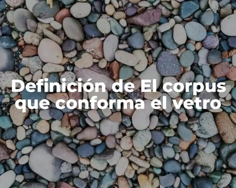 Definición de El corpus que conforma el vetro