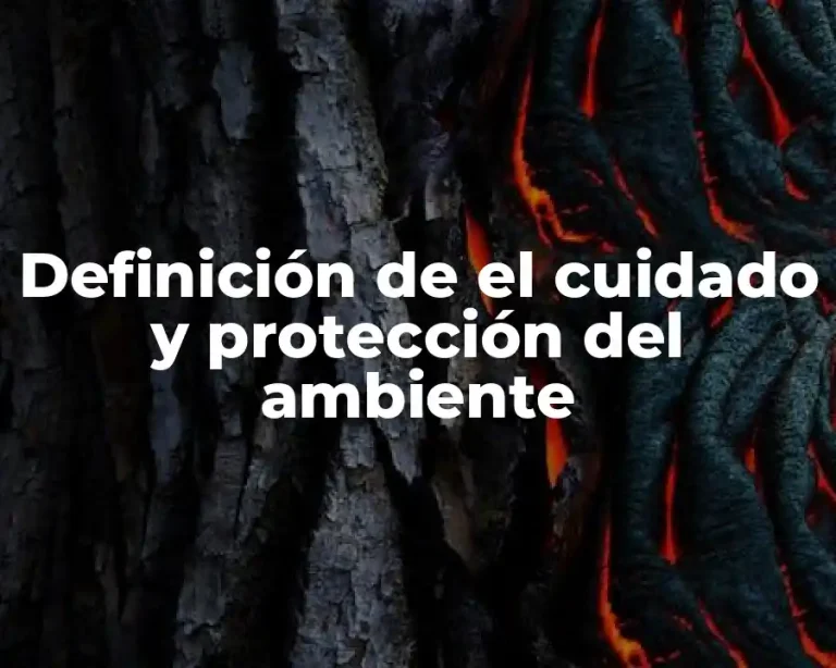 Definición de el cuidado y protección del ambiente
