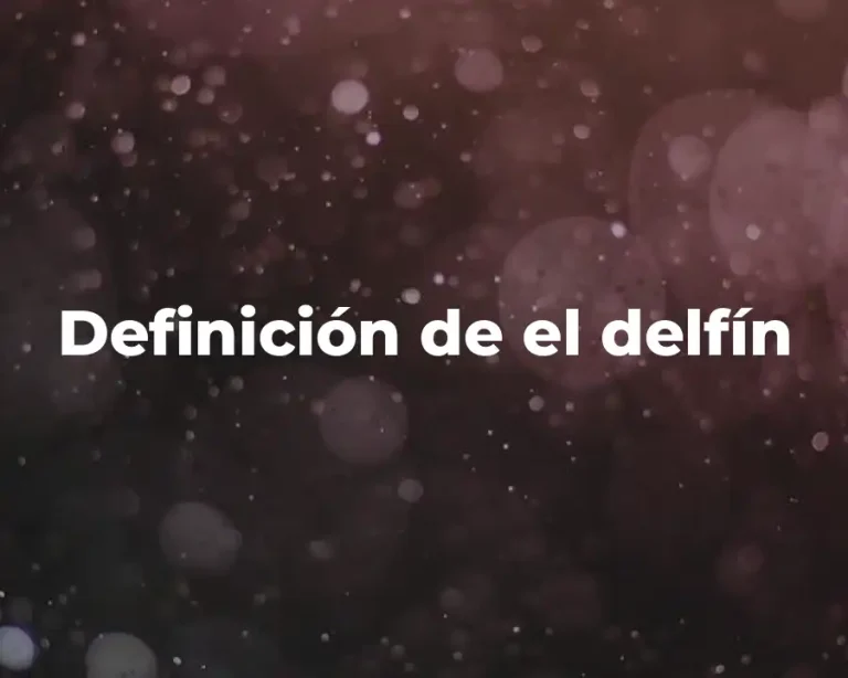 Definición de el delfín