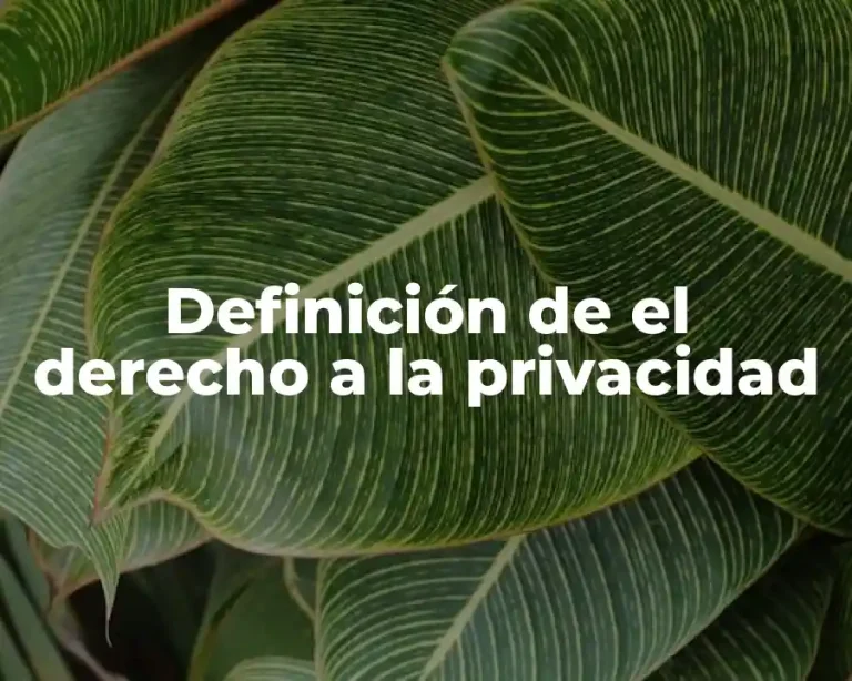 Definición de el derecho a la privacidad