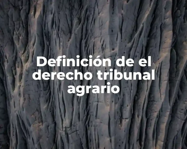 Definición de el derecho tribunal agrario