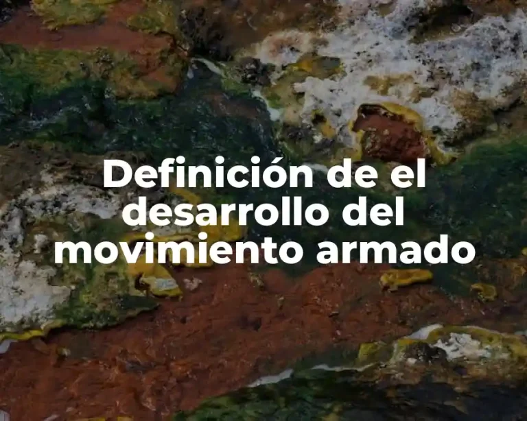 Definición de el desarrollo del movimiento armado