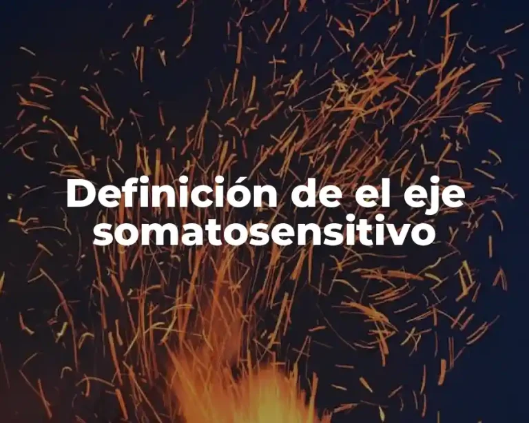 Definición de el eje somatosensitivo