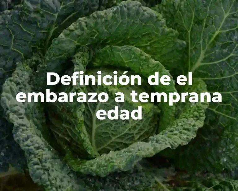 Definición de el embarazo a temprana edad