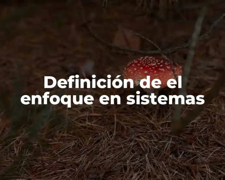 Definición de el enfoque en sistemas