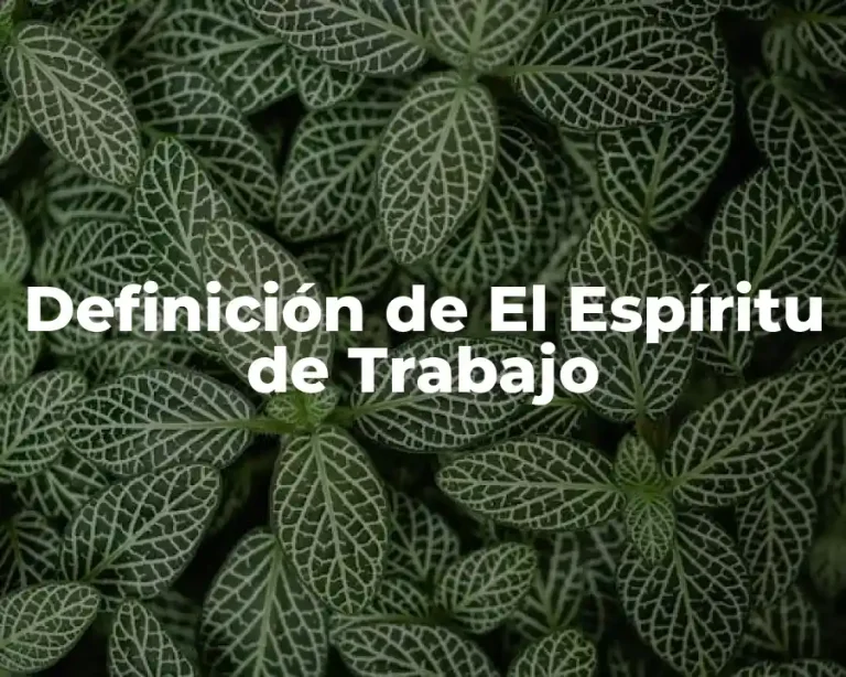 Definición de El Espíritu de Trabajo