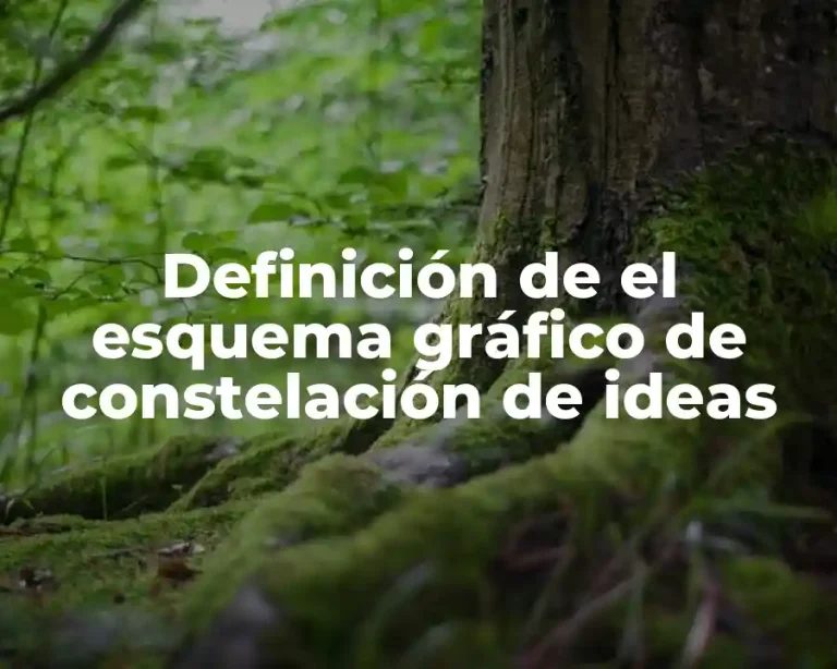 Definición de el esquema gráfico de constelación de ideas