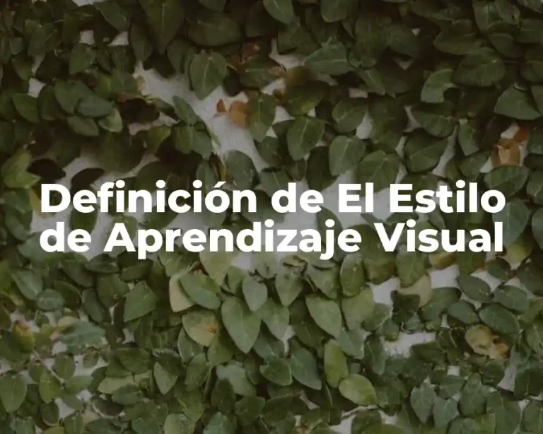 Definición de El Estilo de Aprendizaje Visual