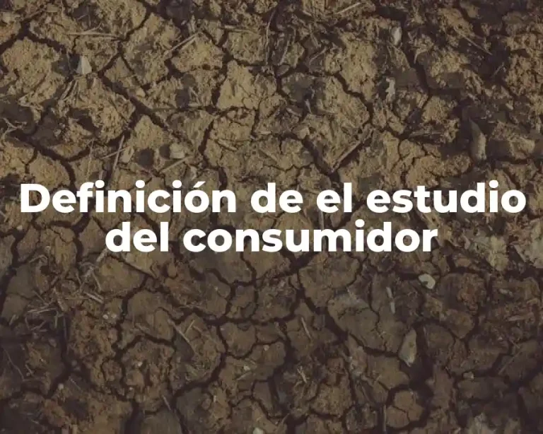 Definición de el estudio del consumidor