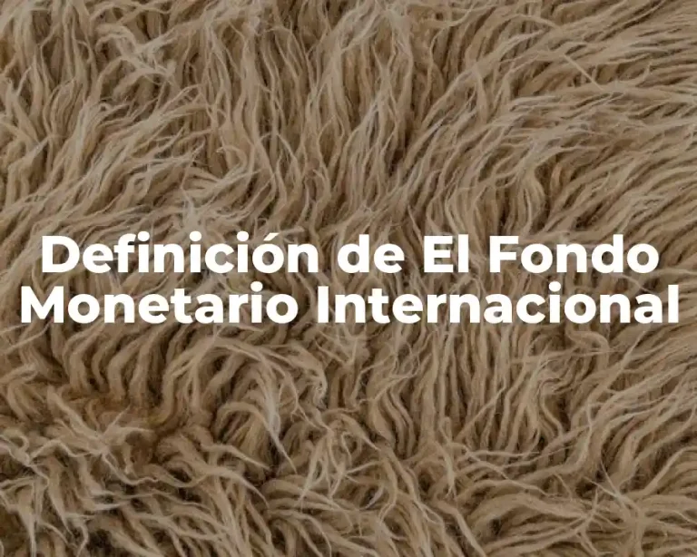Definición de El Fondo Monetario Internacional