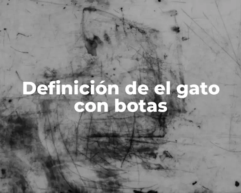 Definición de el gato con botas