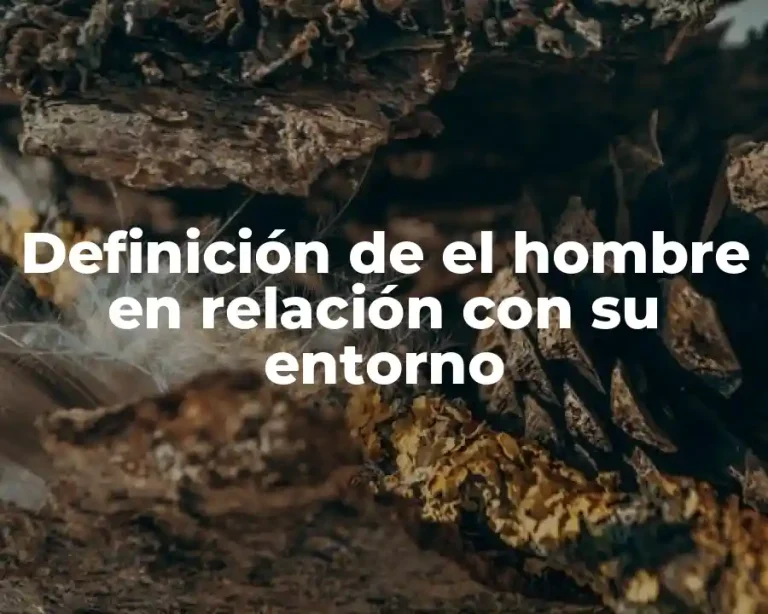 Definición de el hombre en relación con su entorno