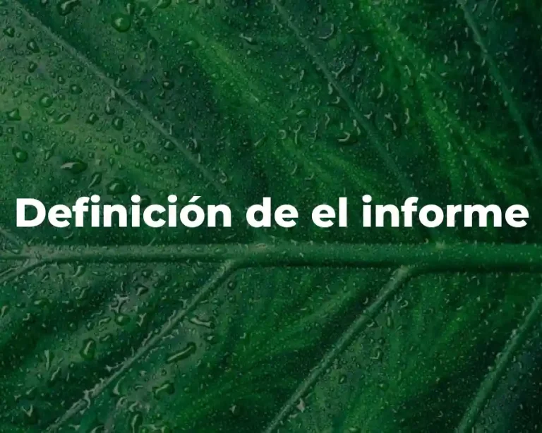 Definición de el informe