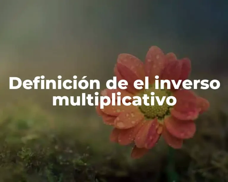 Definición de el inverso multiplicativo