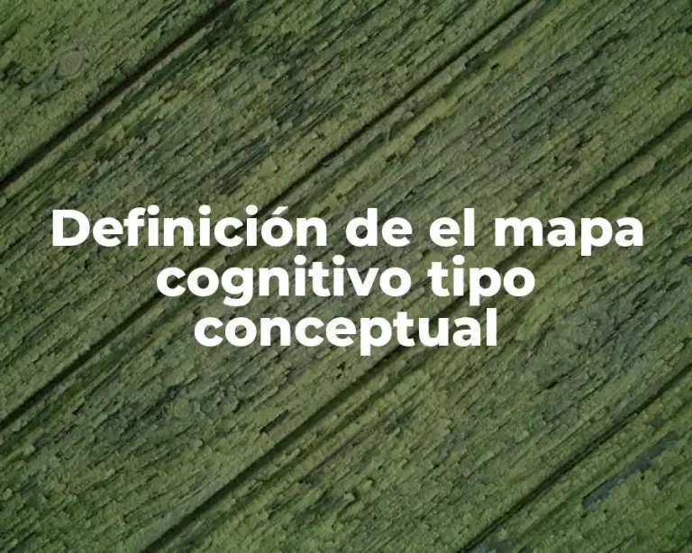 Definición de el mapa cognitivo tipo conceptual