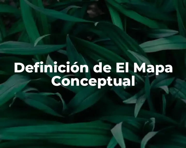 Definición de El Mapa Conceptual