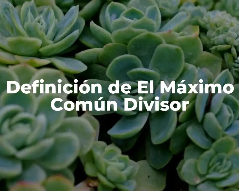 Definición de El Máximo Común Divisor
