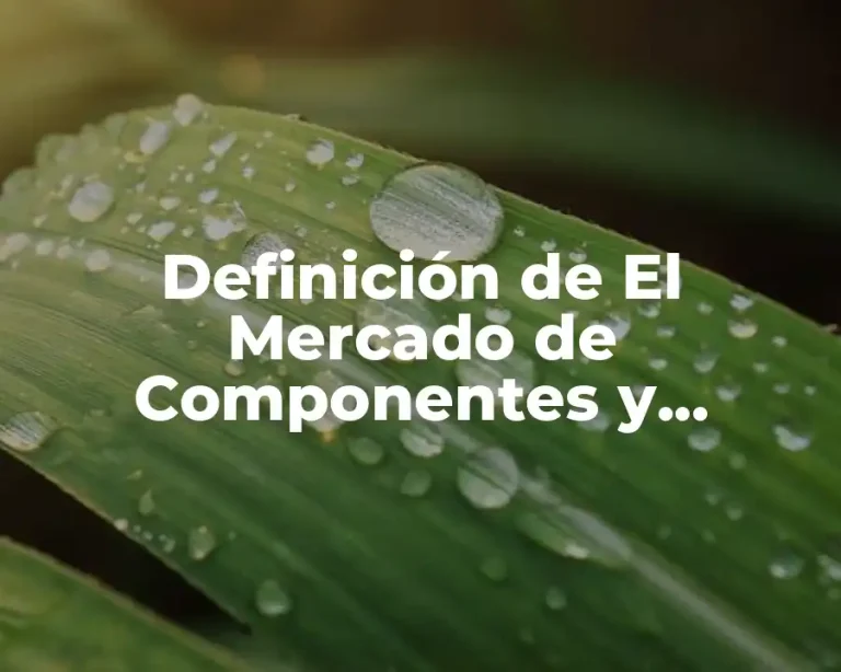 Definición de El Mercado de Componentes y Clasificaciones