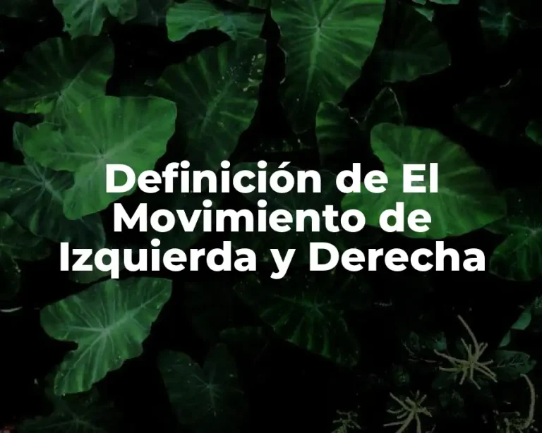 Definición de El Movimiento de Izquierda y Derecha