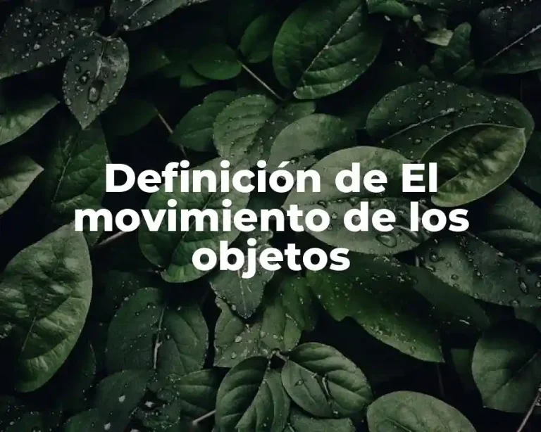 Definición de El movimiento de los objetos