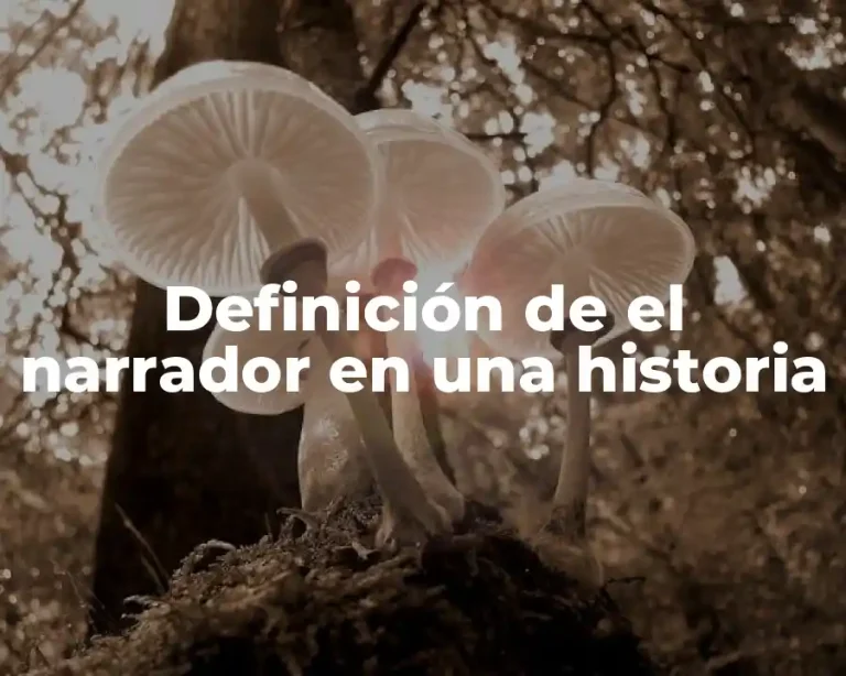 Definición de el narrador en una historia