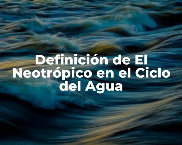 Definición de El Neotrópico en el Ciclo del Agua