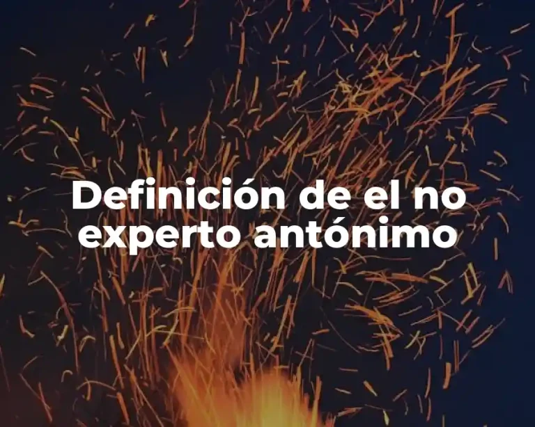 Definición de el no experto antónimo