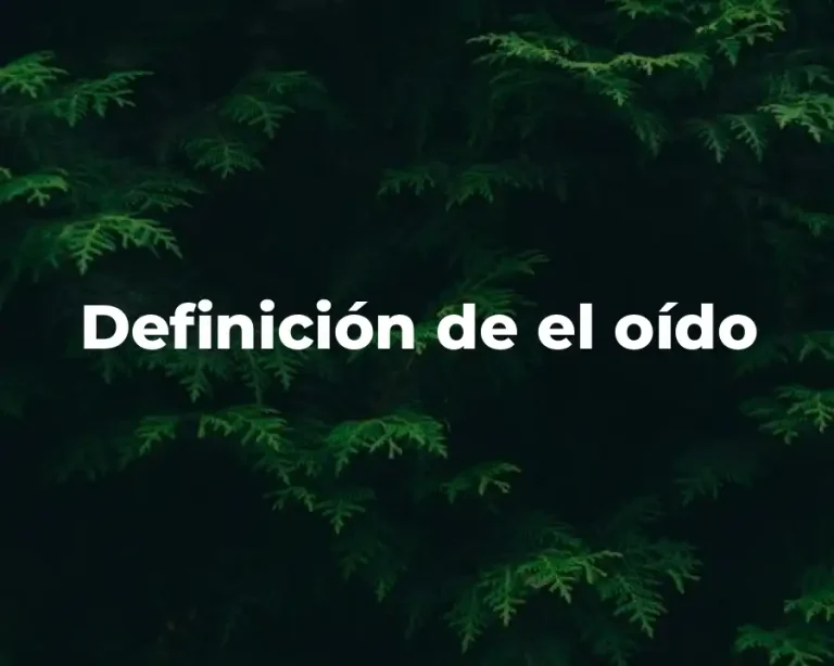 Definición de el oído