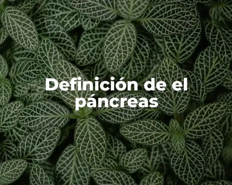 Definición de el páncreas