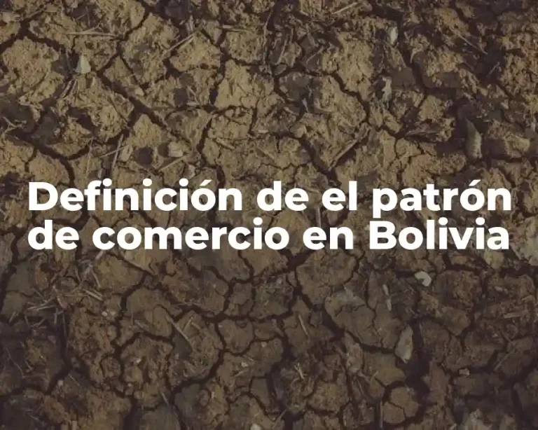 Definición de el patrón de comercio en Bolivia