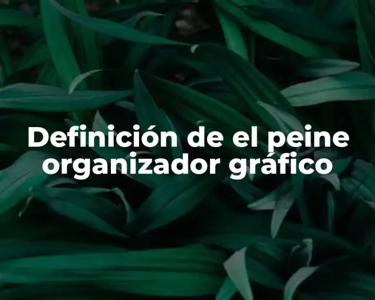 Definición de el peine organizador gráfico