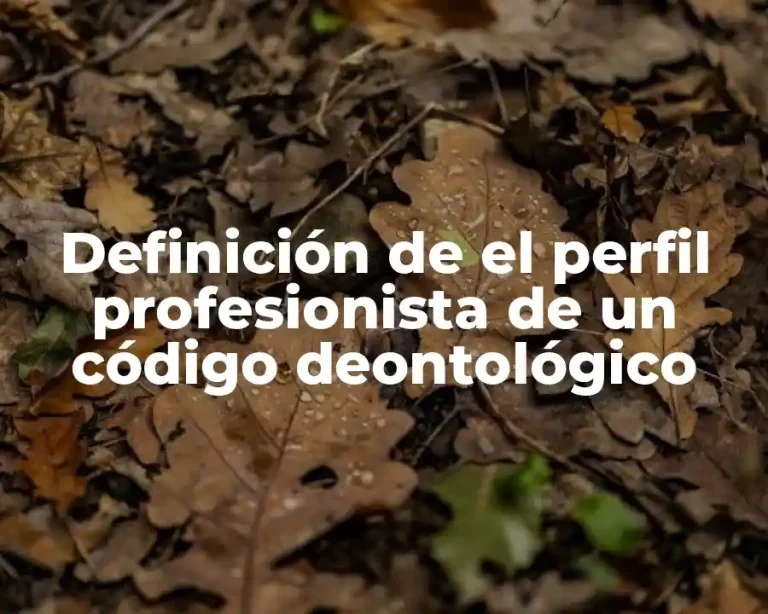 Definición de el perfil profesionista de un código deontológico