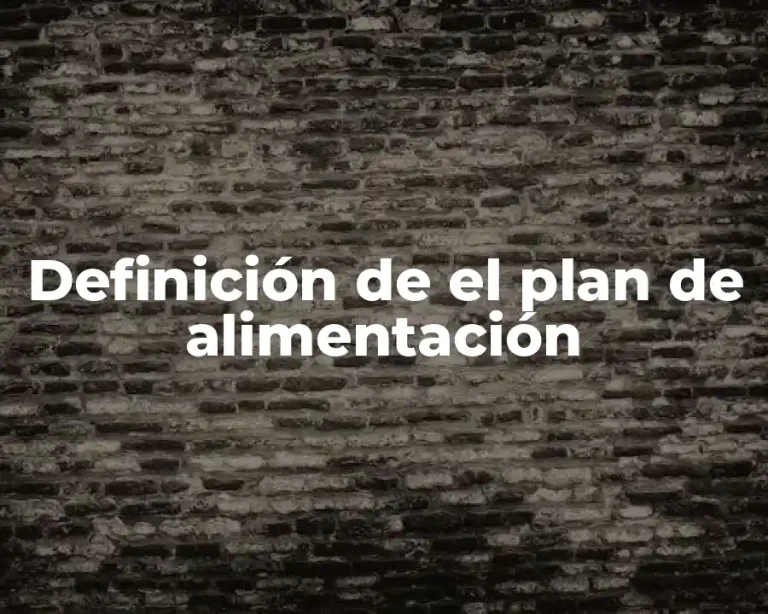 Definición de el plan de alimentación