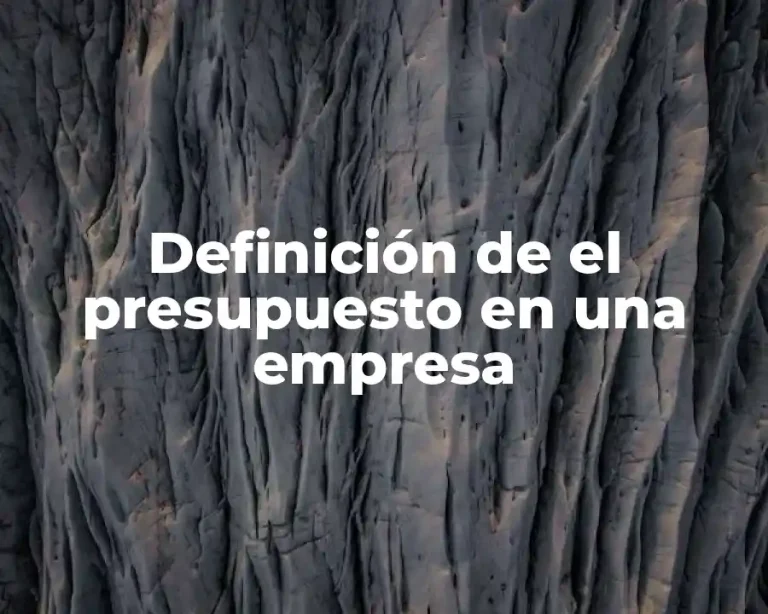 Definición de el presupuesto en una empresa