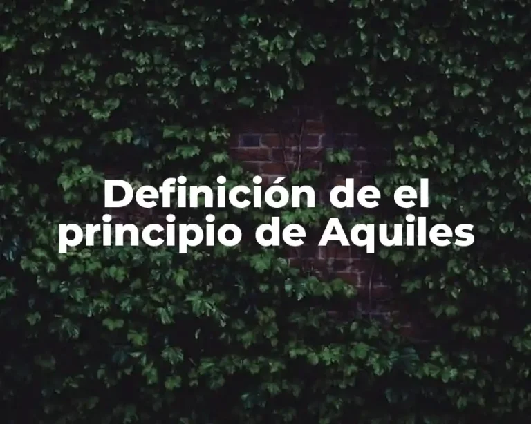 Definición de el principio de Aquiles