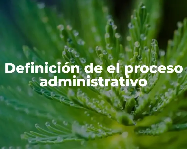 Definición de el proceso administrativo