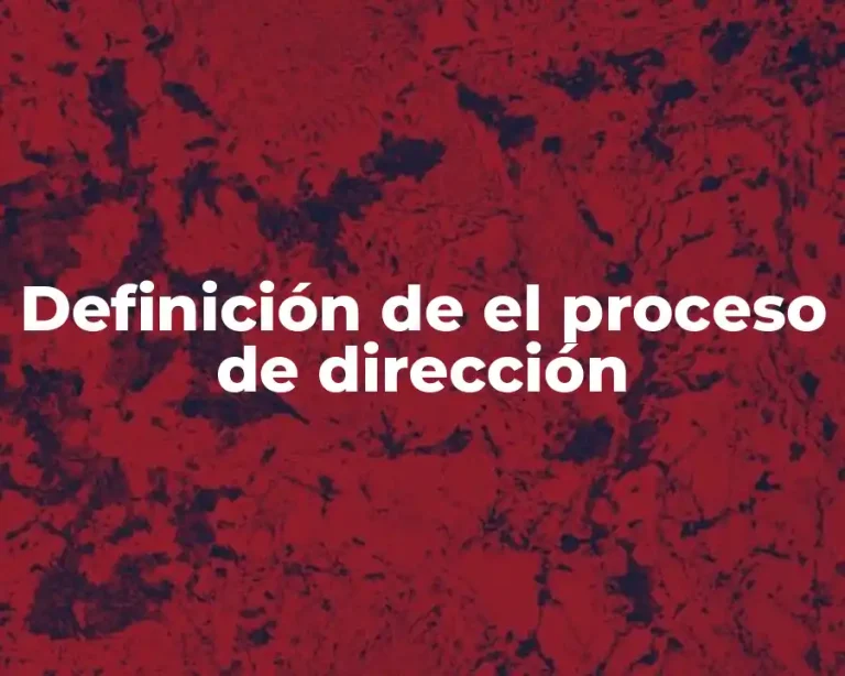 Definición de el proceso de dirección