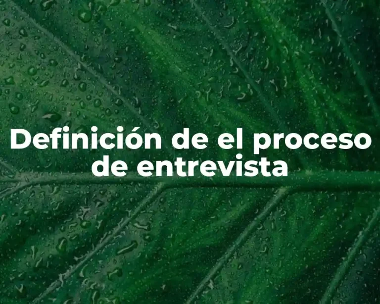 Definición de el proceso de entrevista