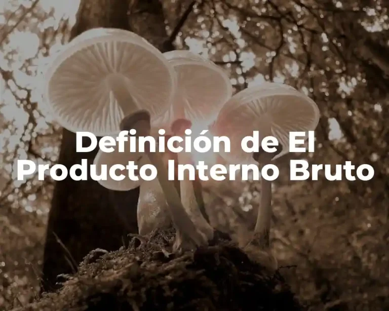 Definición de El Producto Interno Bruto